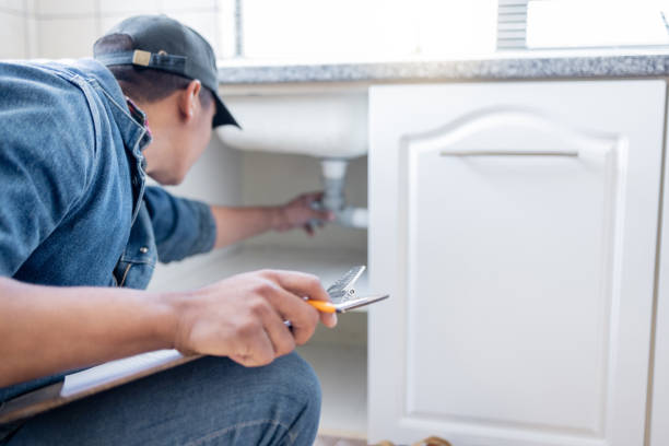 Best Local Plumber Services  in Delhi Hills, OH